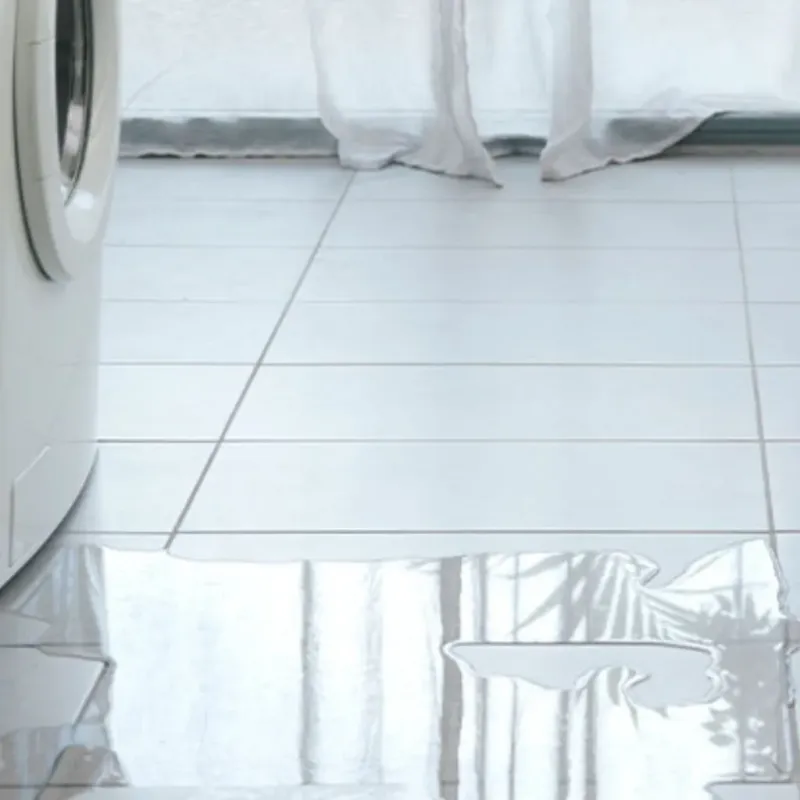 Appliance Leak Cleanup in Southside, AL