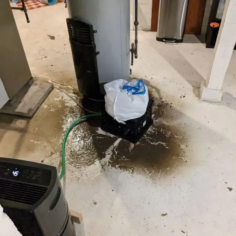 Sewage Backup Cleanup Service in Southside, AL